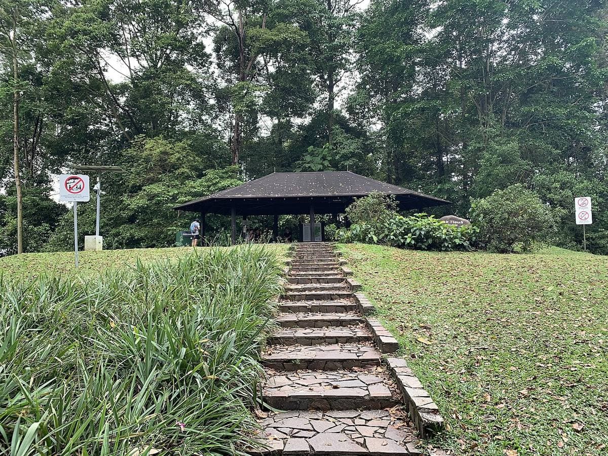 D21 — Clementi Park, Upper Bukit Timah