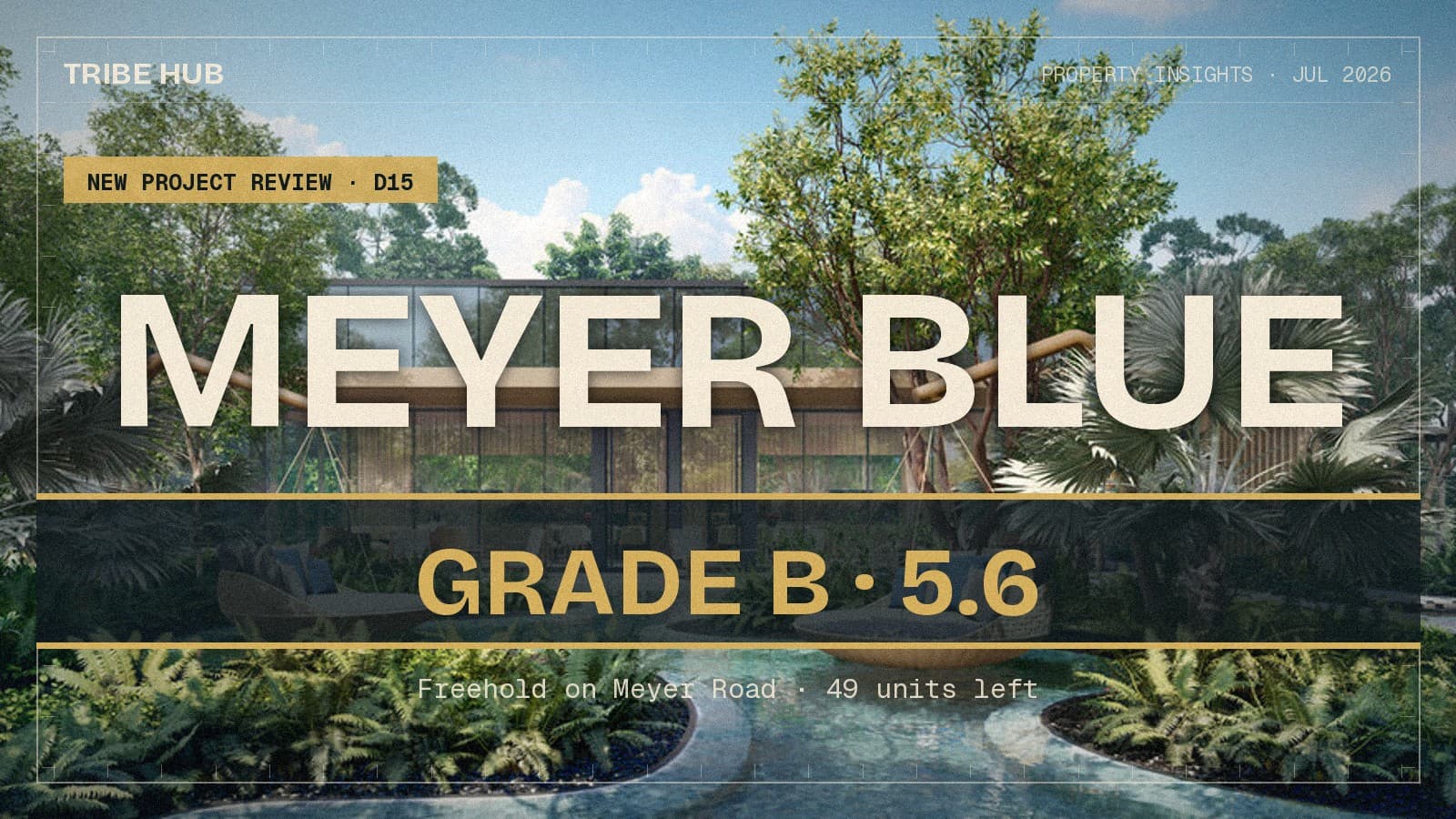 Honest Insights On Meyer Blue