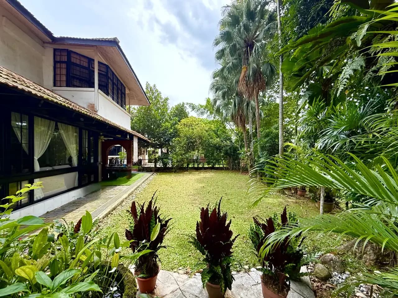 Side garden and lawn