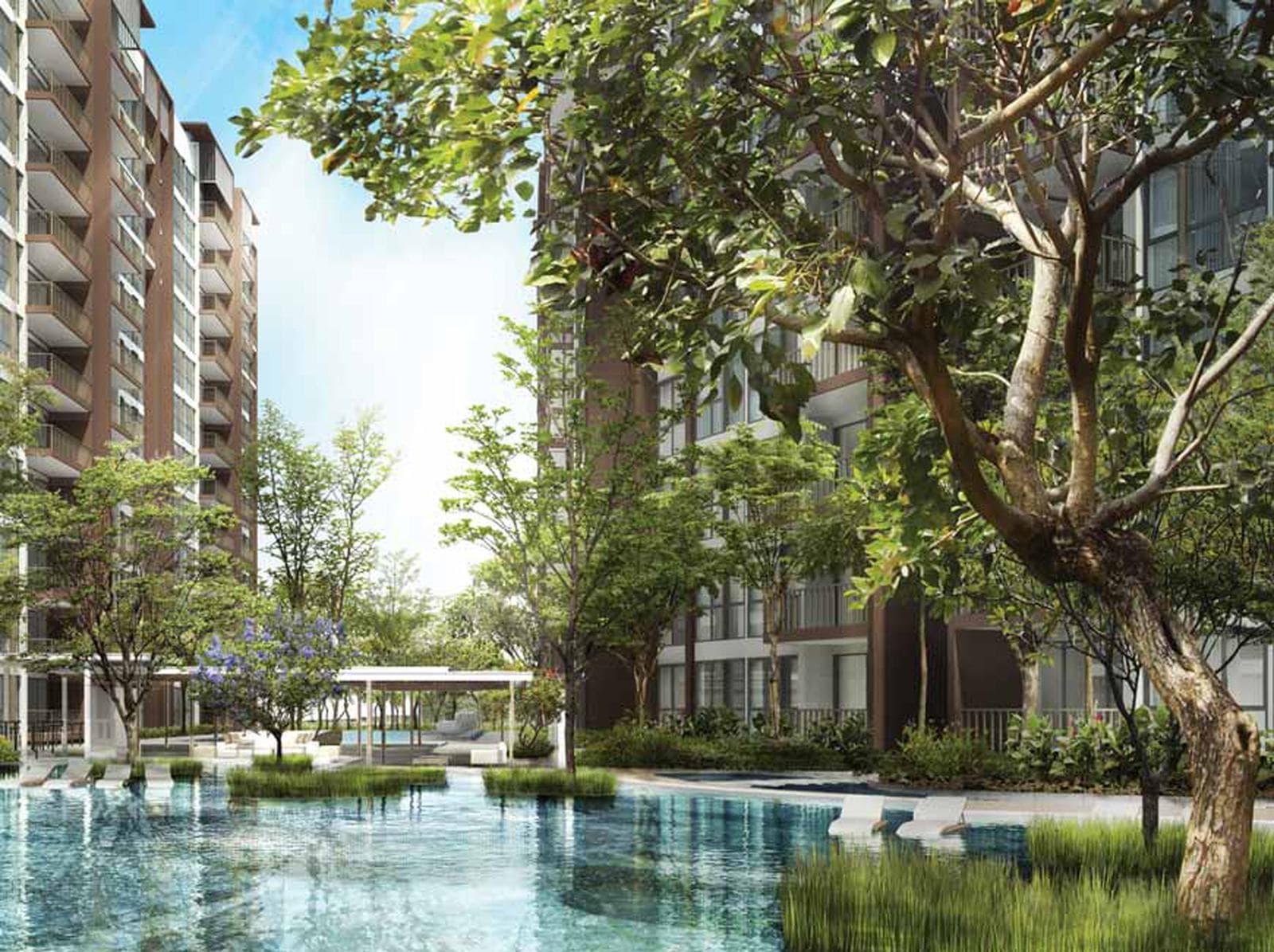 Artist's impression of Bellewoods: the Aquatic Forest Pool with sun loungers in the water, trees on a planted island, and two residential blocks behind