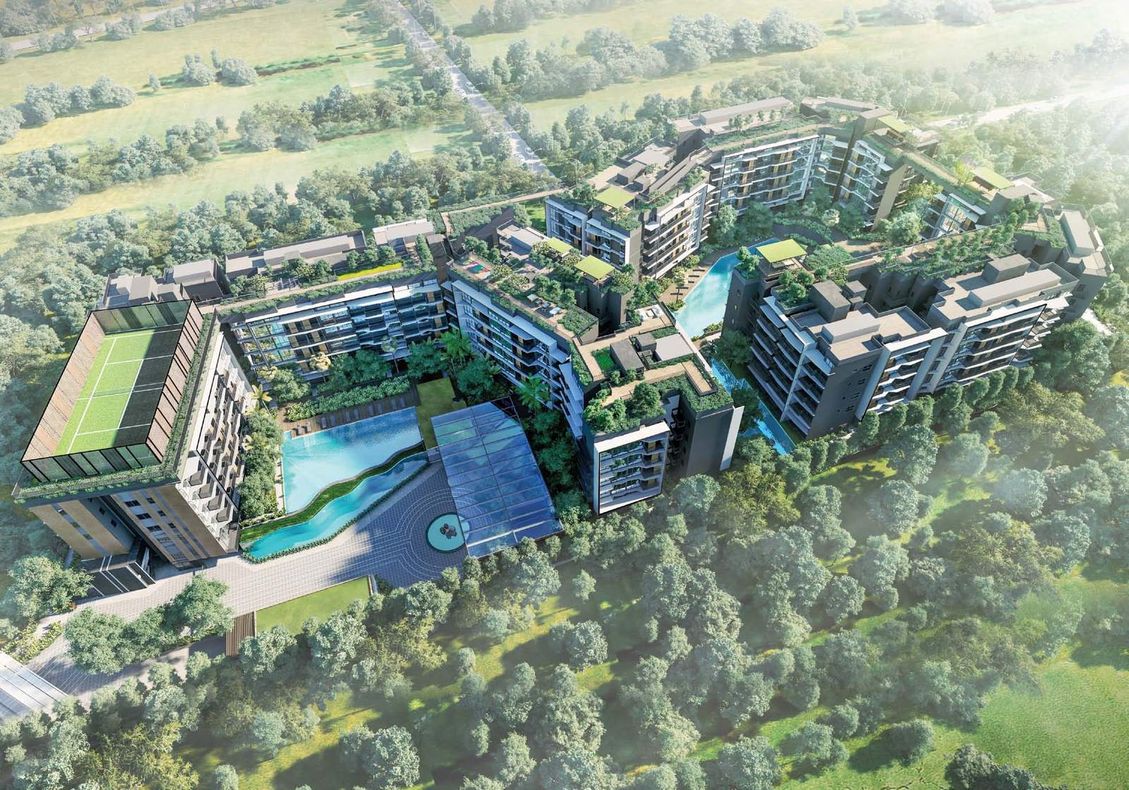 Artist's impression of Daintree Residence from the air: twelve five-storey towers with planted roofs around a long leisure pool and a second pool by the entrance, set among the trees off Toh Tuck Road